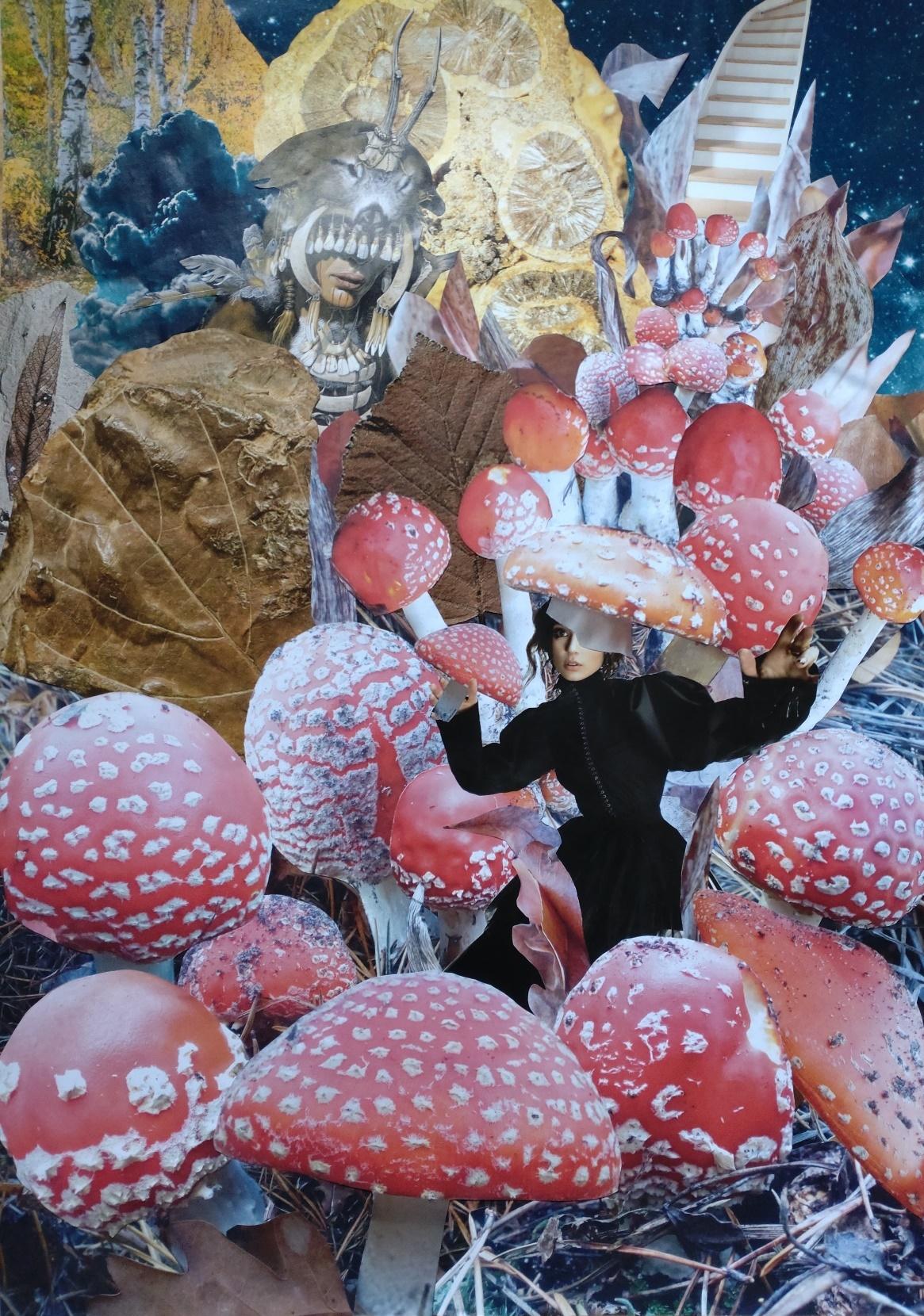 Amanita, 2022, a large analog collage with a human face, fly agaric mushroom and forest imagery.