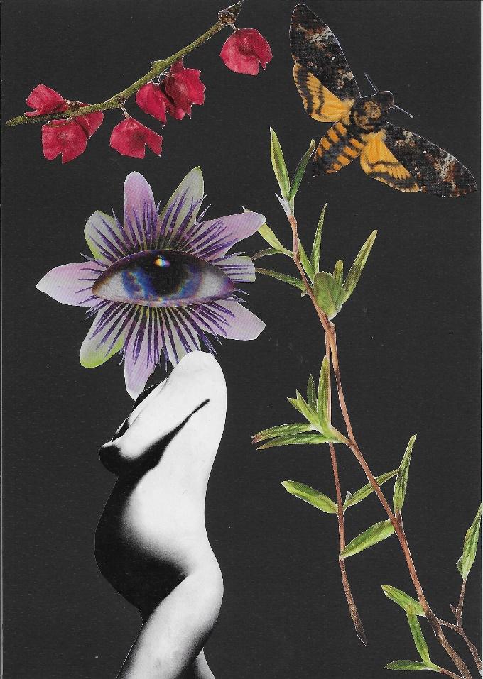 Miniatura 21, 2023, an A5 analog collage of a moth, flowers, an eye and a figure on a dark ground.
