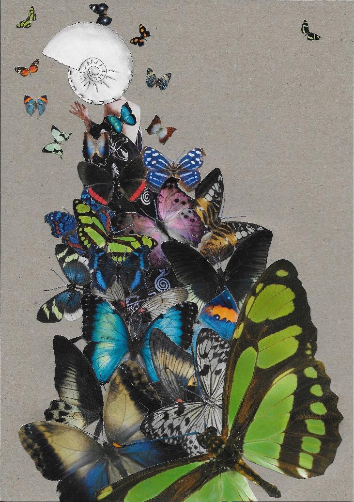 Butterfly Effect 2.0, 2024, a collage of colourful butterflies rising from a shell.